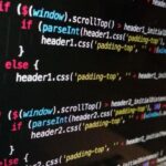 The best programming language for migration